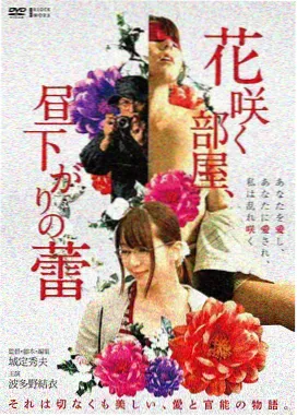 作品《夏末邮差》封面：单车穿过稻田的黄昏小路